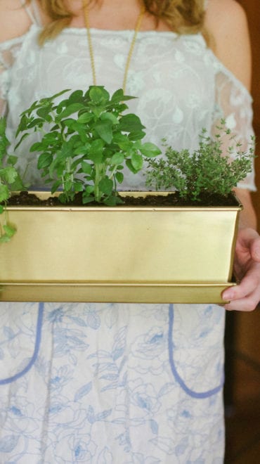 How to Make a Windowsill Herb Garden